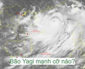 Bão Yagi mạnh cỡ nào?